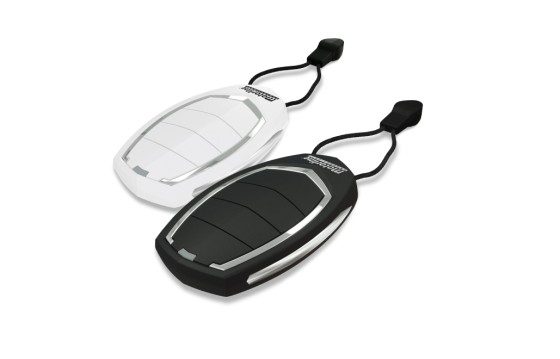 Télécommande 4 canneaux Falk